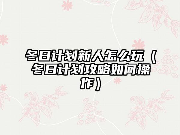 冬日计划新人怎么玩（冬日计划攻略如何操作）