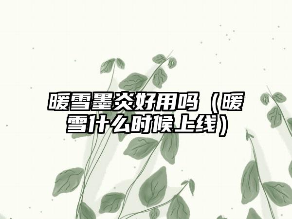 暖雪墨炎好用吗（暖雪什么时候上线）