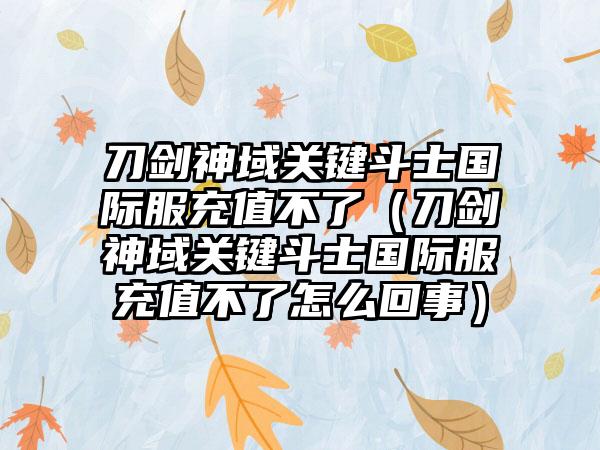 刀剑神域关键斗士国际服充值不了（刀剑神域关键斗士国际服充值不了怎么回事）