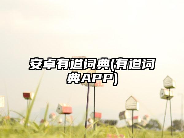 安卓有道词典(有道词典APP)