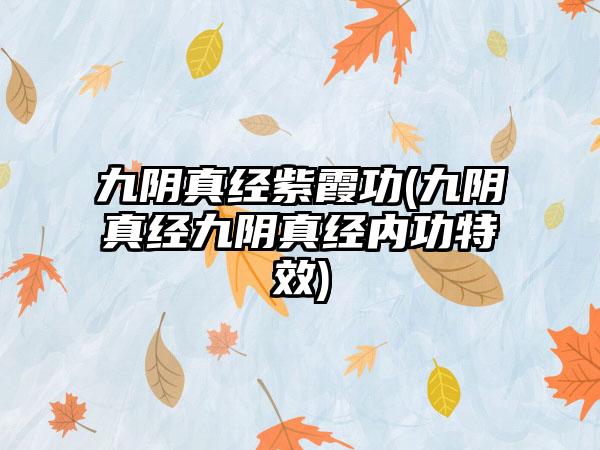 九阴真经紫霞功(九阴真经九阴真经内功特效)