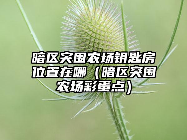 暗区突围农场钥匙房位置在哪（暗区突围农场彩蛋点）