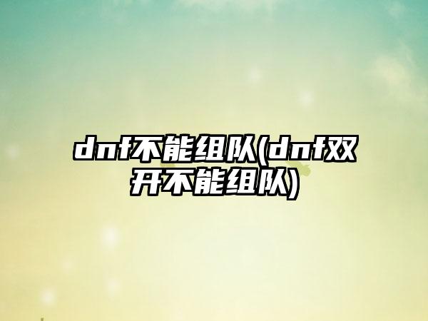 dnf不能组队(dnf双开不能组队)