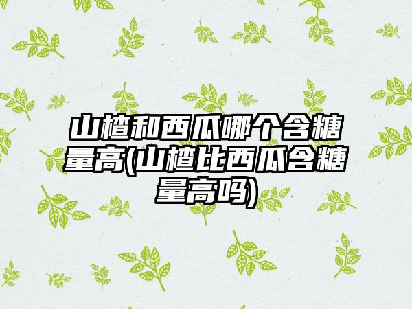 山楂和西瓜哪个含糖量高(山楂比西瓜含糖量高吗)