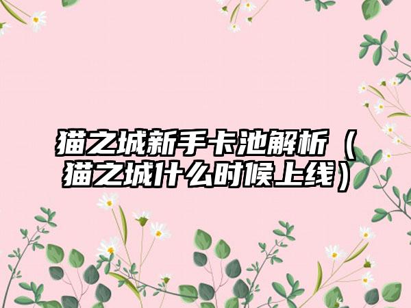 猫之城新手卡池解析（猫之城什么时候上线）