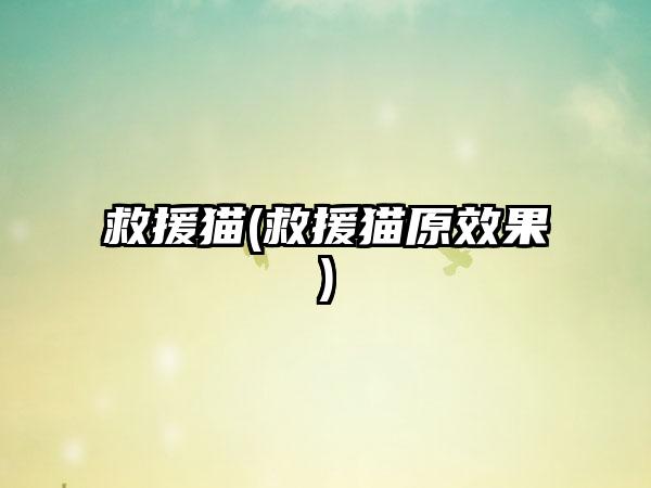 救援猫(救援猫原效果)