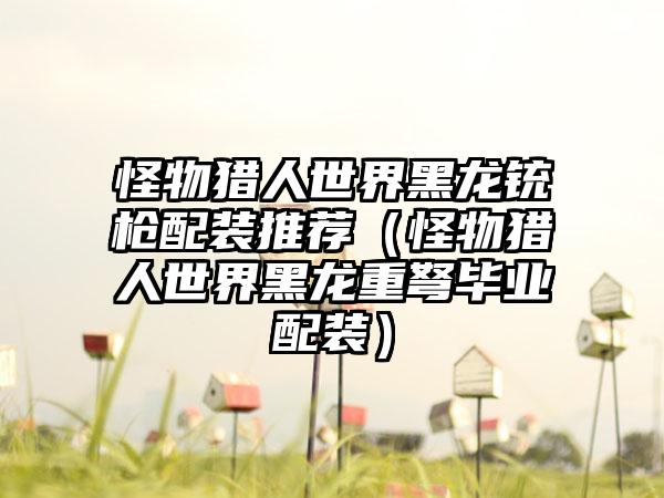 怪物猎人世界黑龙铳枪配装推荐（怪物猎人世界黑龙重弩毕业配装）