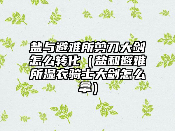盐与避难所剪刀大剑怎么转化（盐和避难所湿衣骑士大剑怎么拿）