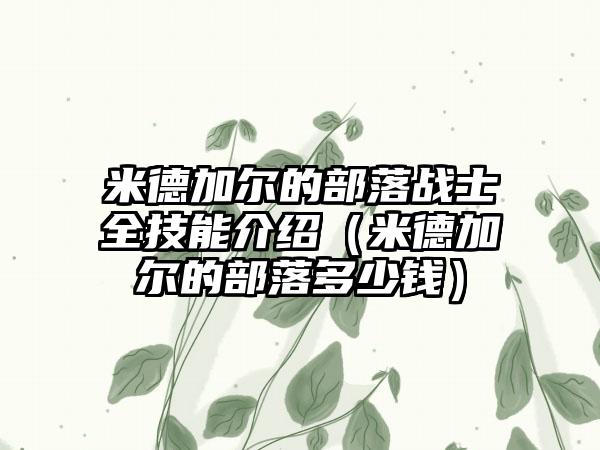 米德加尔的部落战士全技能介绍（米德加尔的部落多少钱）