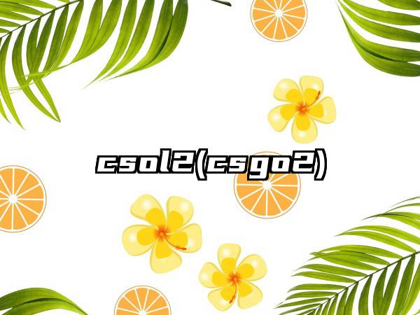 csol2(csgo2)