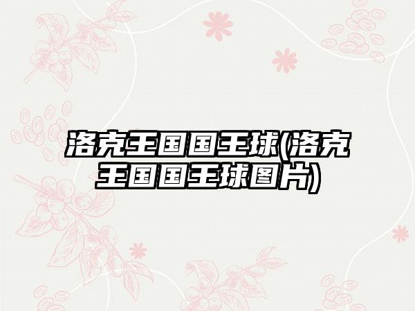 洛克王国国王球(洛克王国国王球图片)