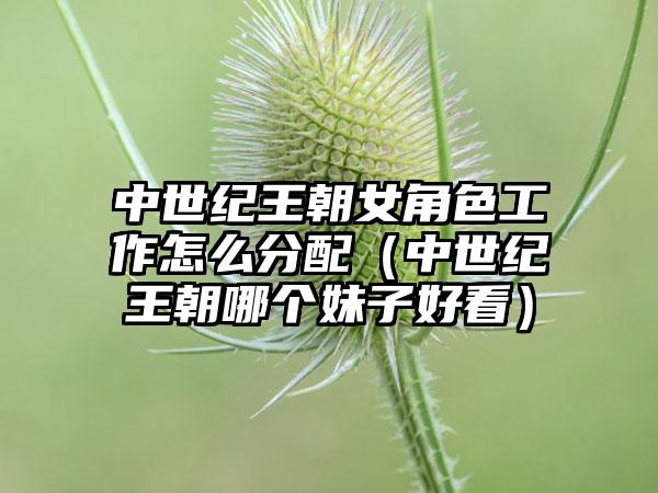 中世纪王朝女角色工作怎么分配（中世纪王朝哪个妹子好看）