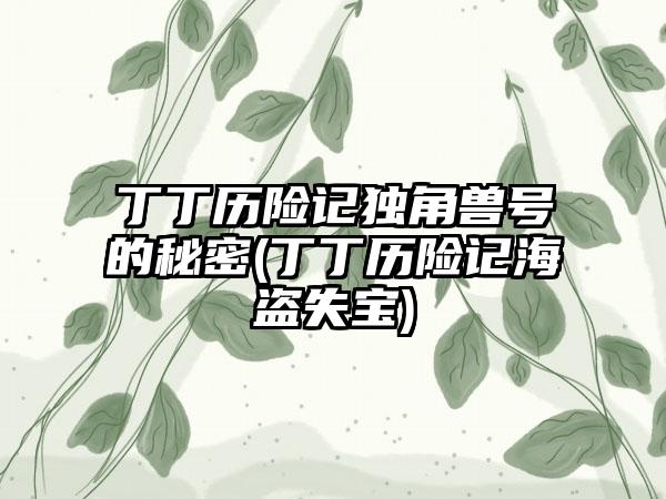 丁丁历险记独角兽号的秘密(丁丁历险记海盗失宝)