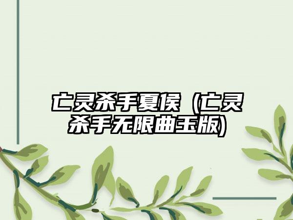 亡灵杀手夏侯惇(亡灵杀手无限曲玉版)