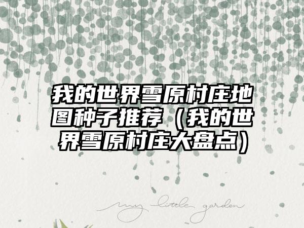 我的世界雪原村庄地图种子推荐（我的世界雪原村庄大盘点）