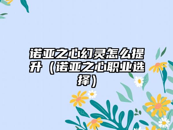 诺亚之心幻灵怎么提升（诺亚之心职业选择）