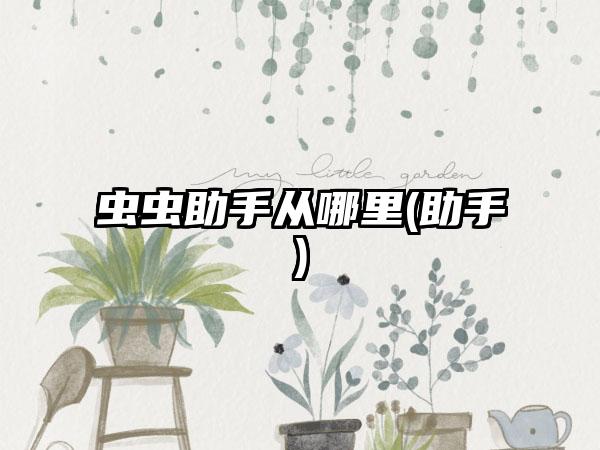虫虫助手从哪里(助手)