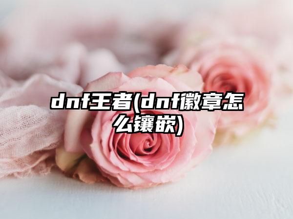 dnf王者(dnf徽章怎么镶嵌)