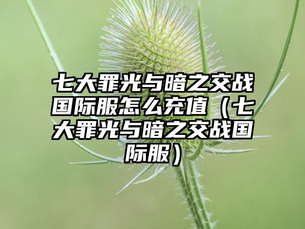 七大罪光与暗之交战国际服怎么充值（七大罪光与暗之交战国际服）