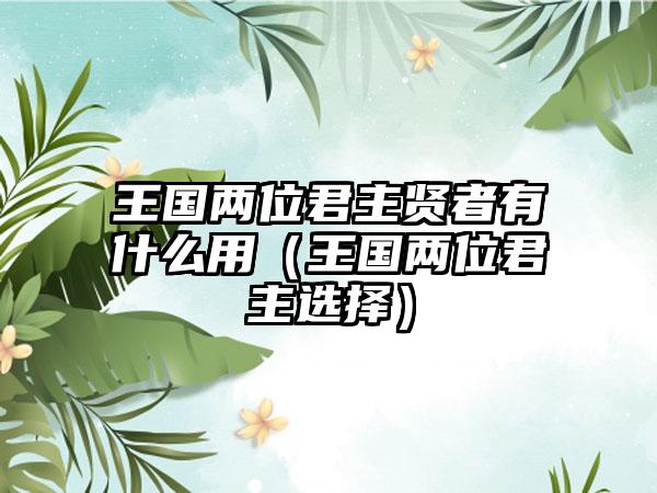 王国两位君主贤者有什么用（王国两位君主选择）