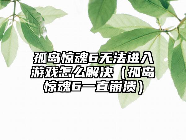 孤岛惊魂6无法进入游戏怎么解决（孤岛惊魂6一直崩溃）