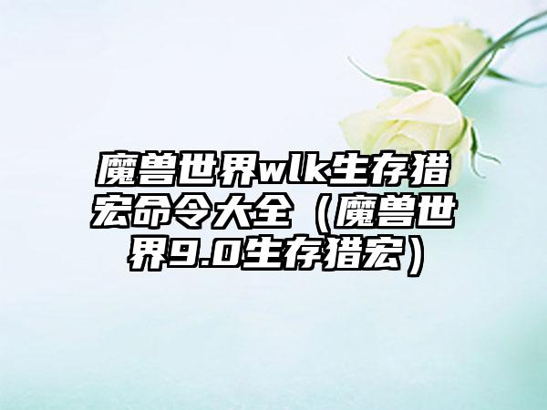 魔兽世界wlk生存猎宏命令大全（魔兽世界9.0生存猎宏）