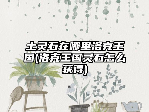 土灵石在哪里洛克王国(洛克王国灵石怎么获得)