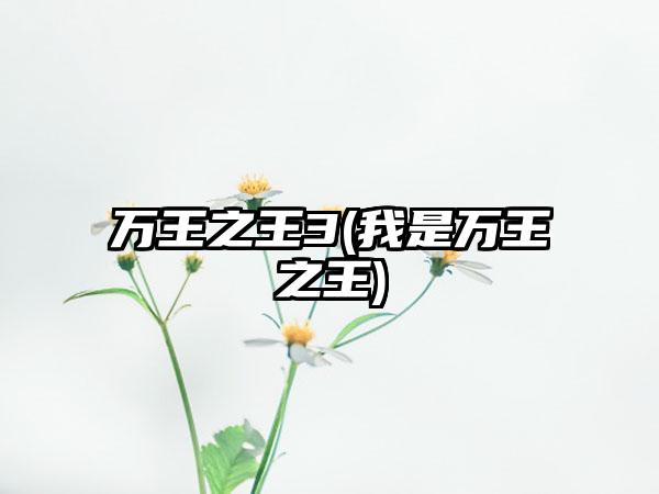 万王之王3(我是万王之王)