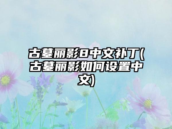 古墓丽影8中文补丁(古墓丽影如何设置中文)