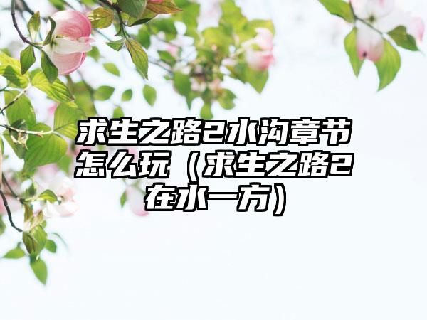 求生之路2水沟章节怎么玩（求生之路2在水一方）