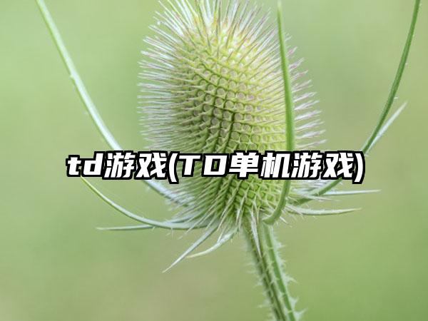 td游戏(TD单机游戏)