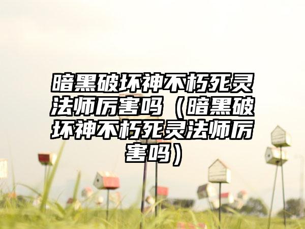 暗黑破坏神不朽死灵法师厉害吗（暗黑破坏神不朽死灵法师厉害吗）