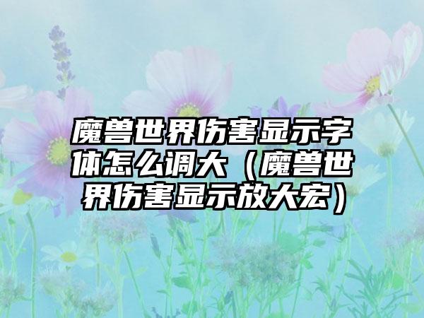 魔兽世界伤害显示字体怎么调大（魔兽世界伤害显示放大宏）