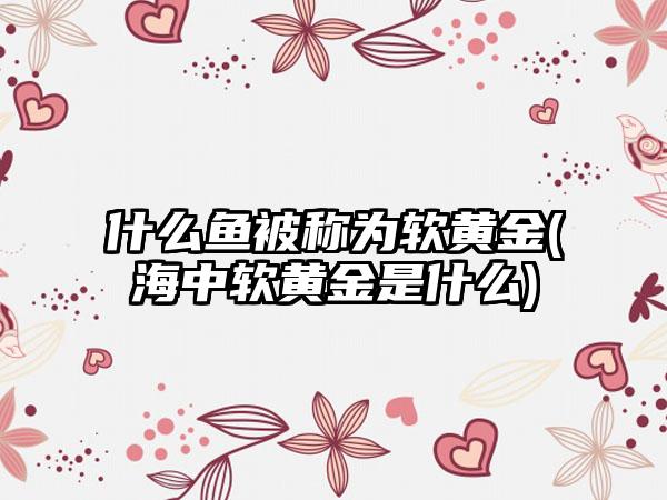 什么鱼被称为软黄金(海中软黄金是什么)