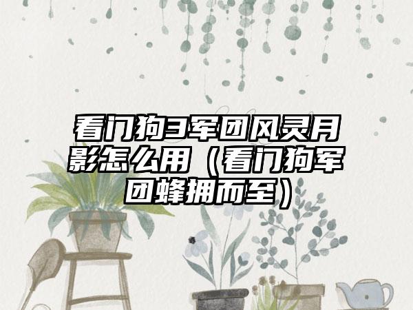 看门狗3军团风灵月影怎么用（看门狗军团蜂拥而至）