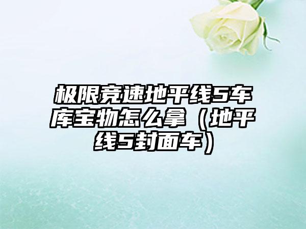 极限竞速地平线5车库宝物怎么拿（地平线5封面车）