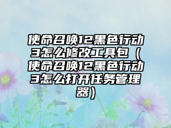 使命召唤12黑色行动3怎么修改工具包（使命召唤12黑色行动3怎么打开任务管理器）