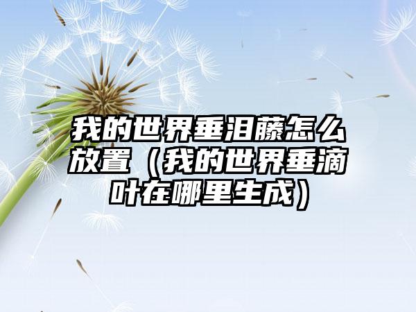 我的世界垂泪藤怎么放置（我的世界垂滴叶在哪里生成）