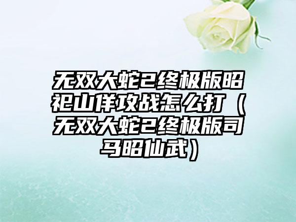 无双大蛇2终极版昭祀山佯攻战怎么打（无双大蛇2终极版司马昭仙武）