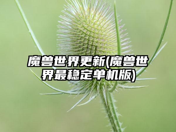 魔兽世界更新(魔兽世界最稳定单机版)