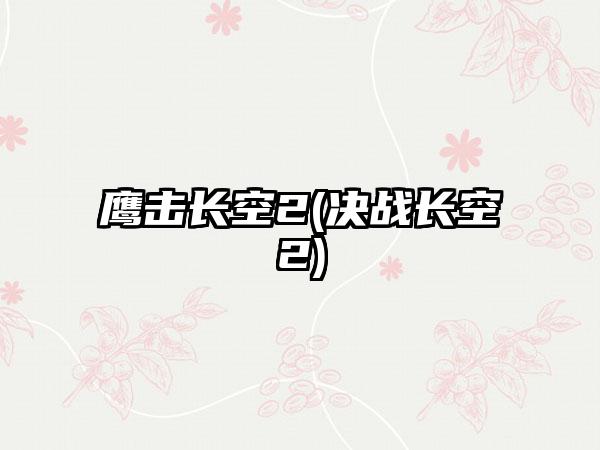 鹰击长空2(决战长空2)