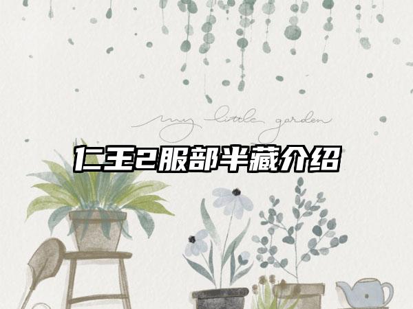 仁王2服部半藏介绍