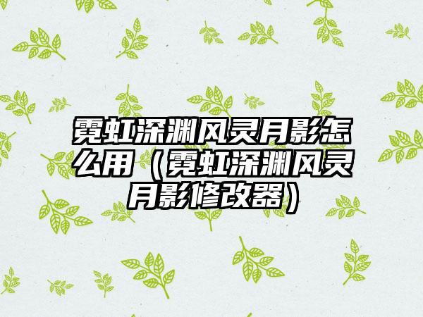霓虹深渊风灵月影怎么用（霓虹深渊风灵月影修改器）