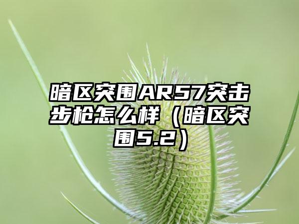 暗区突围AR57突击步枪怎么样（暗区突围5.2）