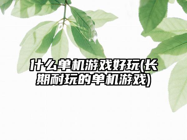 什么单机游戏好玩(长期耐玩的单机游戏)
