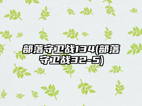 部落守卫战134(部落守卫战32-5)