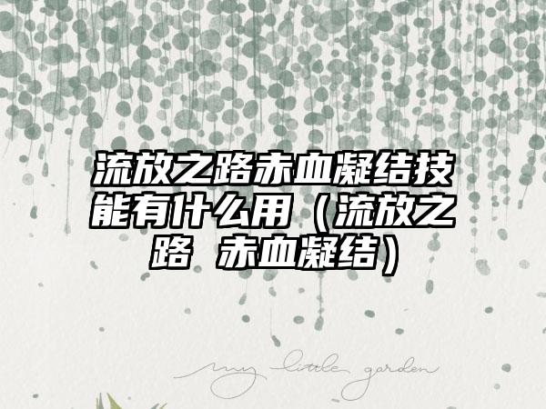 流放之路赤血凝结技能有什么用（流放之路 赤血凝结）