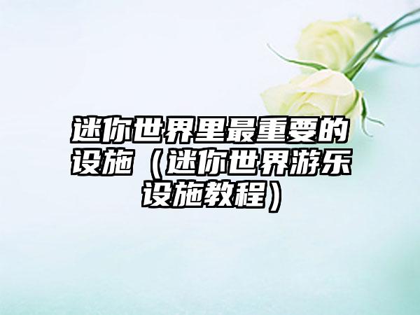 迷你世界里最重要的设施（迷你世界游乐设施教程）