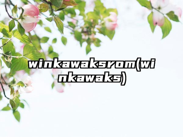 winkawaksrom(winkawaks)