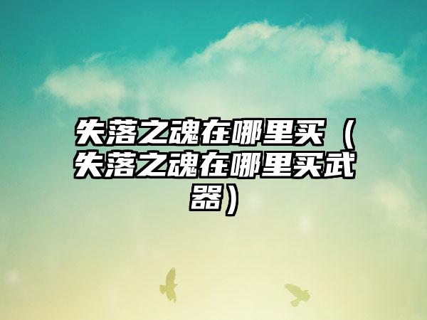 失落之魂在哪里买（失落之魂在哪里买武器）